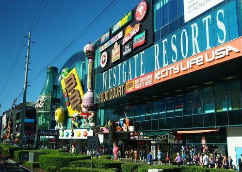 去拉斯維加斯怎么玩