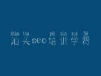 網(wǎng)站建設(shè)效果與SEO策略 以重慶與汕頭實踐為例